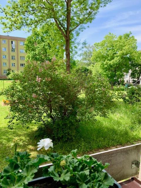 Apartman Snyt Primka Оломоуц Екстериор снимка